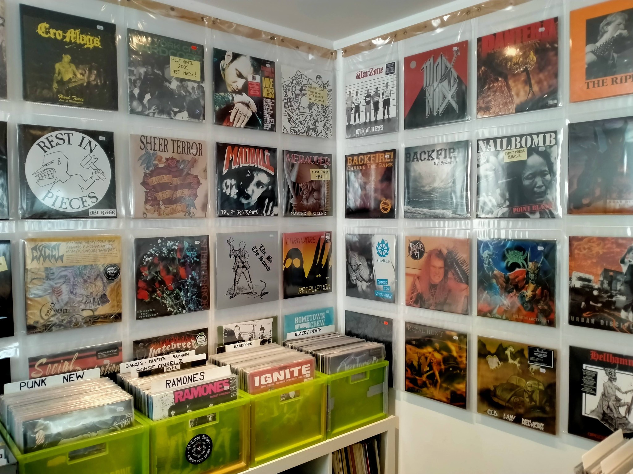 LPs on the wall at Kinsum Records